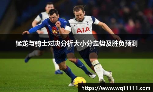 猛龙与骑士对决分析大小分走势及胜负预测